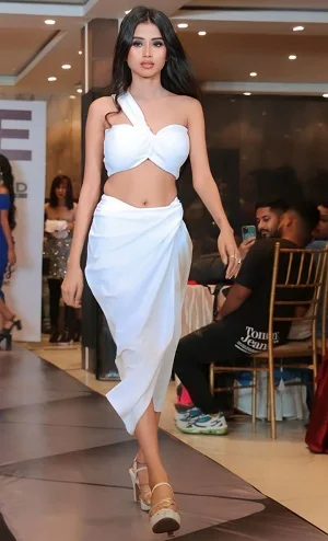 Dehradun escorts in hotel